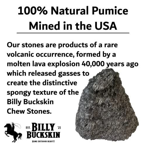 Volcanic Pumice Chinchilla Chew Block M3692