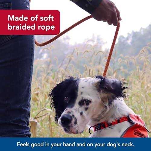Braided Rope Dog Slip Leash Y33860