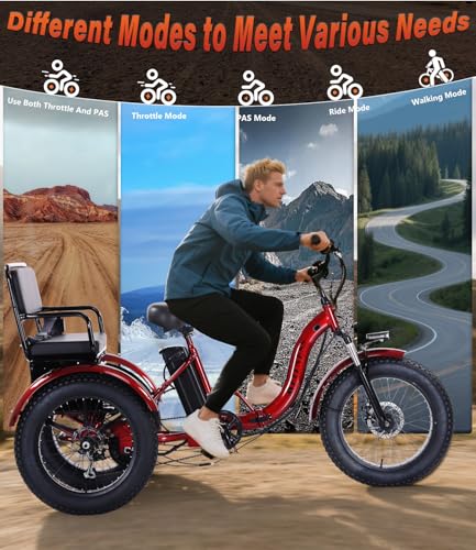 Electric Tricycle 3 Wheel Bike V104329