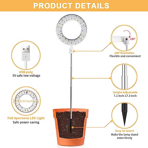 4000K White Full Spectrum Halo Plant Lamp with Auto On Off Timer P29253