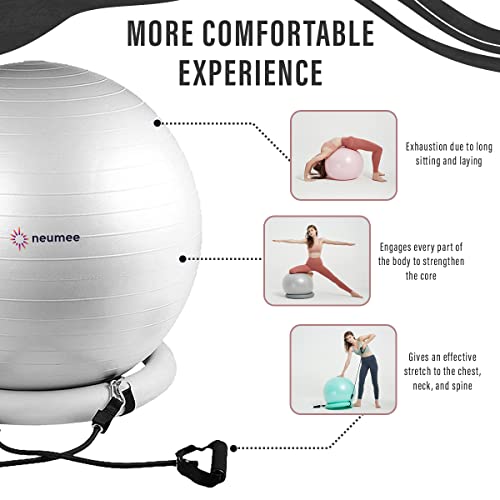 Large Size 65 cm Exercise Ball Chair with Stability Base N51416