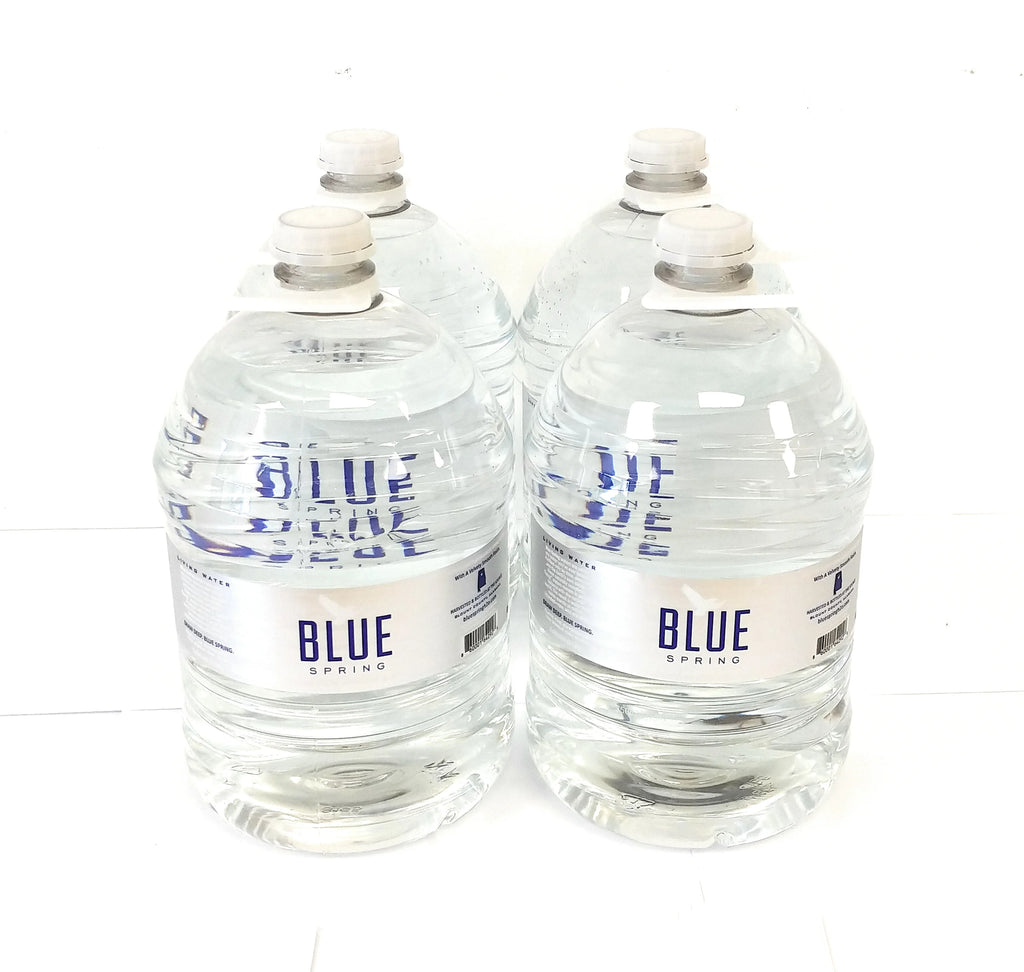Blue Spring Natural Spring Water, 4 Gallons per Case G439667