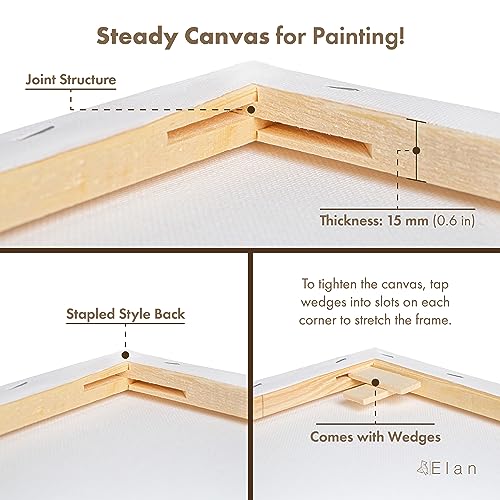 Stretched Canvases Multi-Pack Blank Canvas for Painting U684