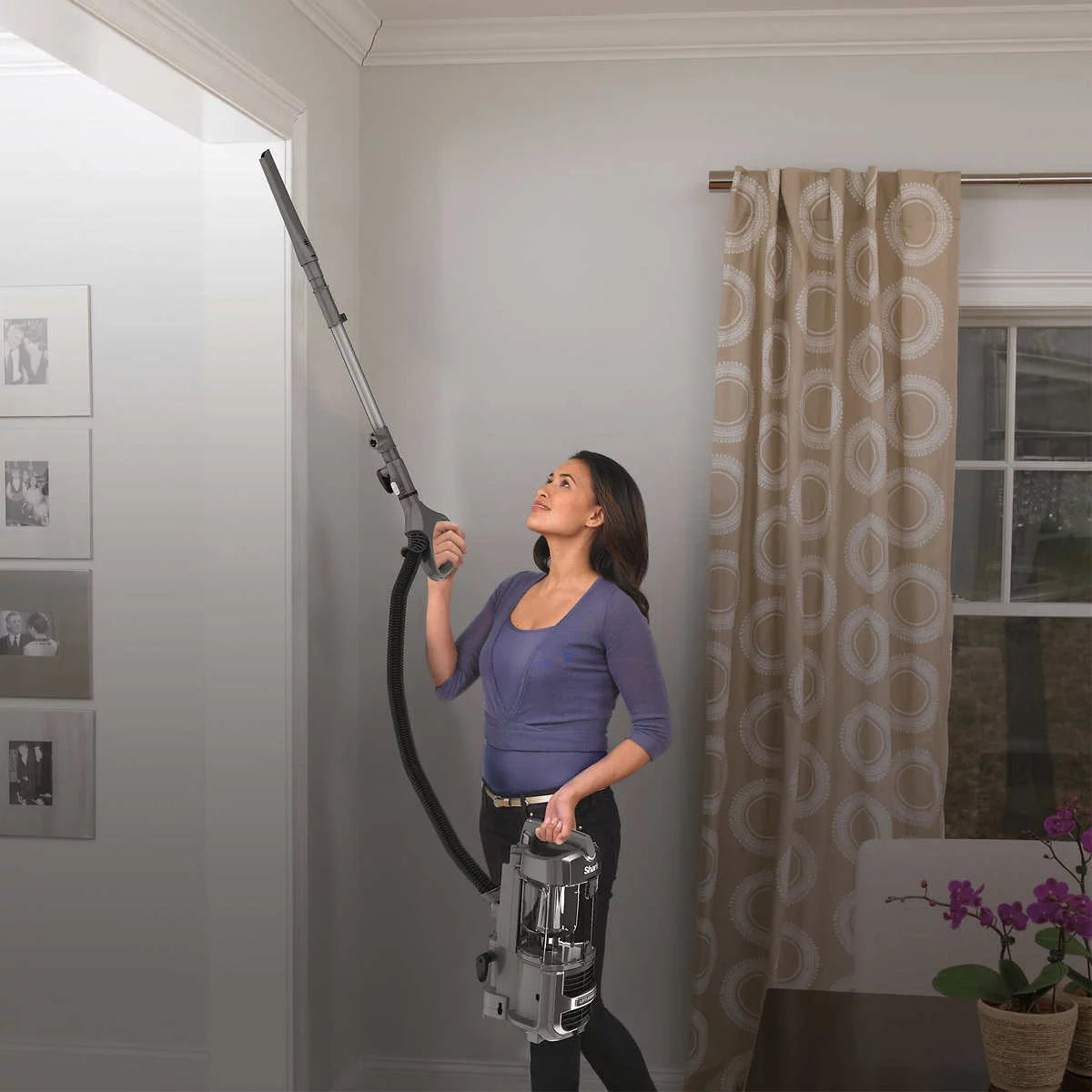 Upright Vacuum V780178
