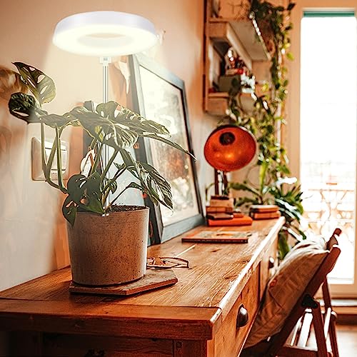 4000K White Full Spectrum Halo Plant Lamp with Auto On Off Timer P29253
