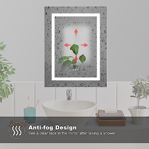 20 X 26 LED Medicine Cabinet with Mirror U686354