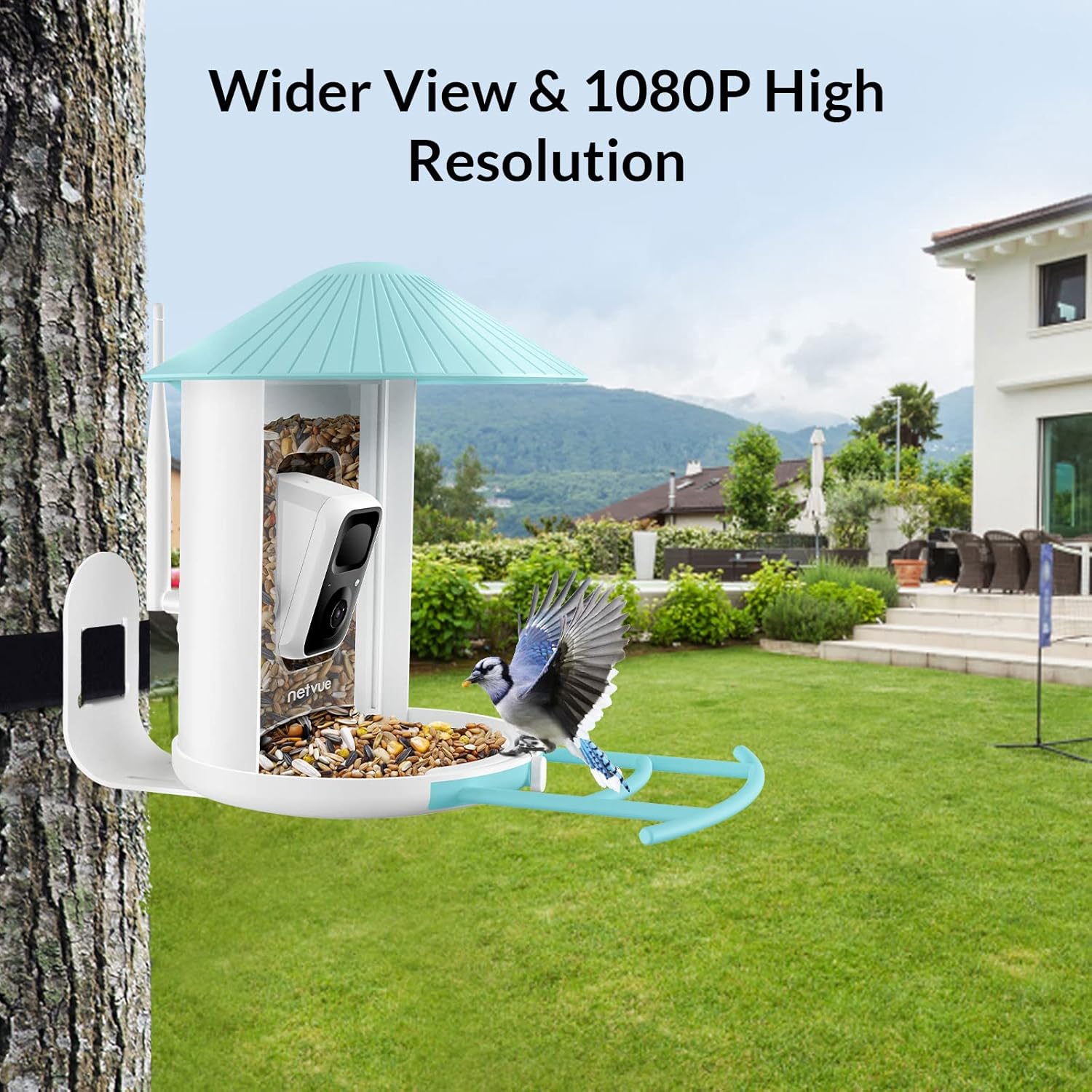 Birdfy Solar Camera with Humming Bird Feeder Extension Perch H286859