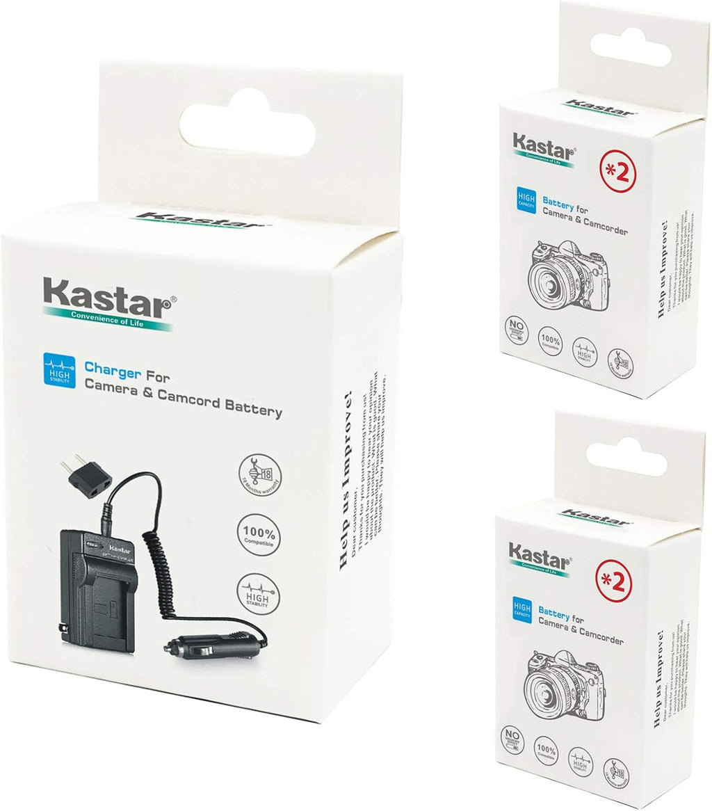 4-Pack Battery and Charger Kit P528239