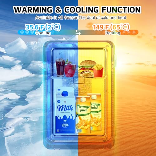 22L Mini Fridge Portable Cooler Warmer Compact Refrigerators with AC/DC Power R508