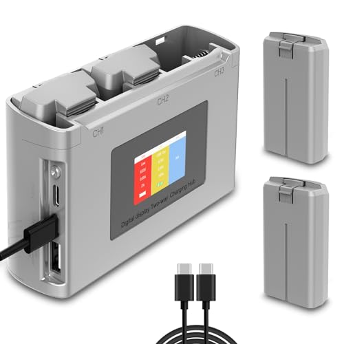 2400mAh 31 mins Max Flight Battery 2 Pack O20701