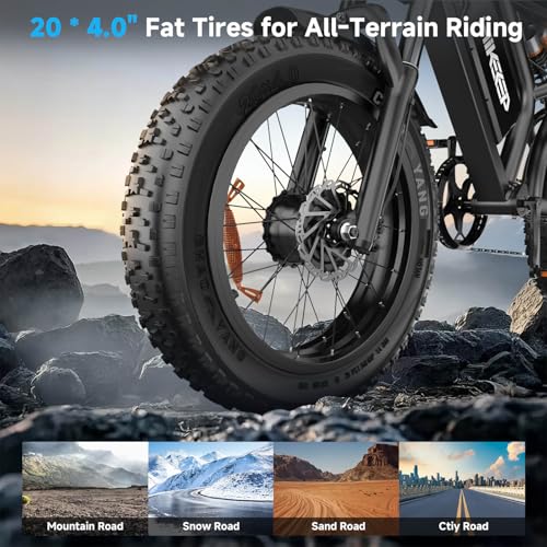 20 x 4 Inch Fat Tire 750W Electric Bike F326957