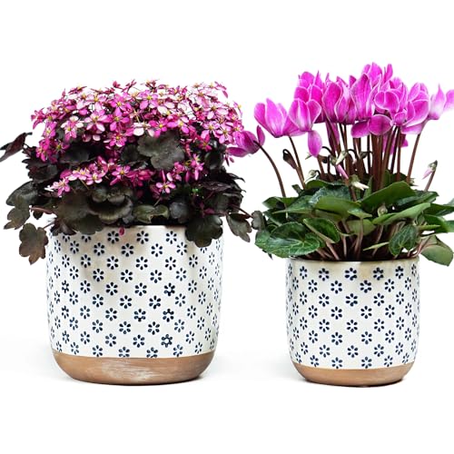 Set of 2 Ceramic Stoneware Plant Pots with Drainage Hole B563273
