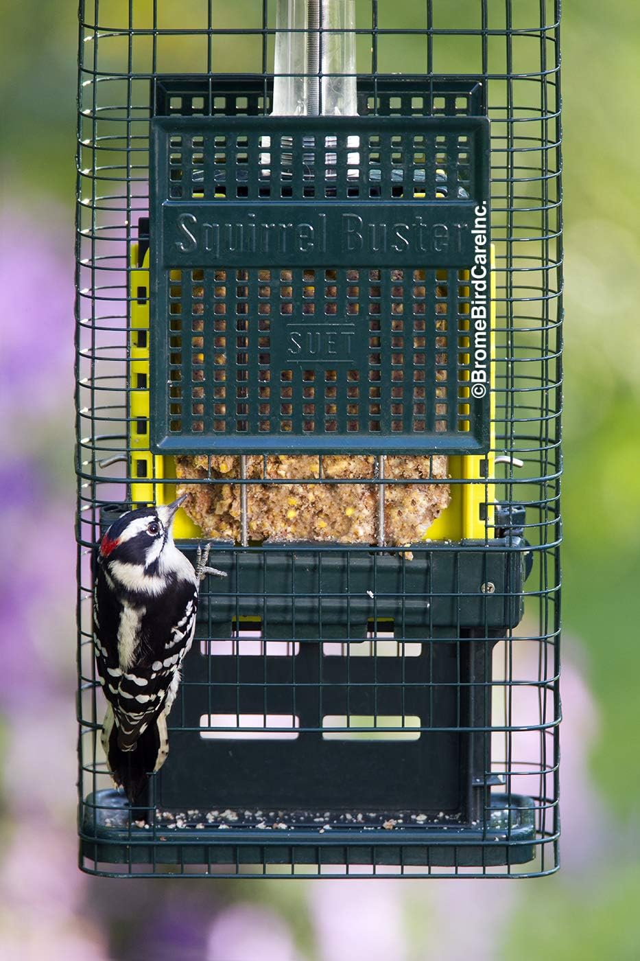 Green Suet Bird Feeder with 2 Suet Cake Trays K82129