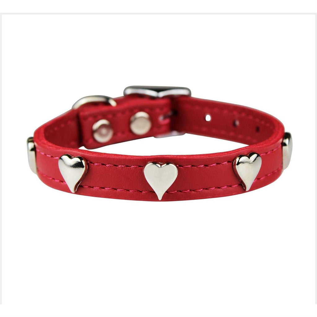 Leather Dog Collar F62160