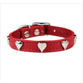 Leather Dog Collar F62160