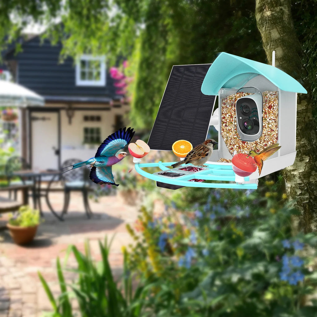1080P Solar Powered Smart Bird Feeder with Camera B591