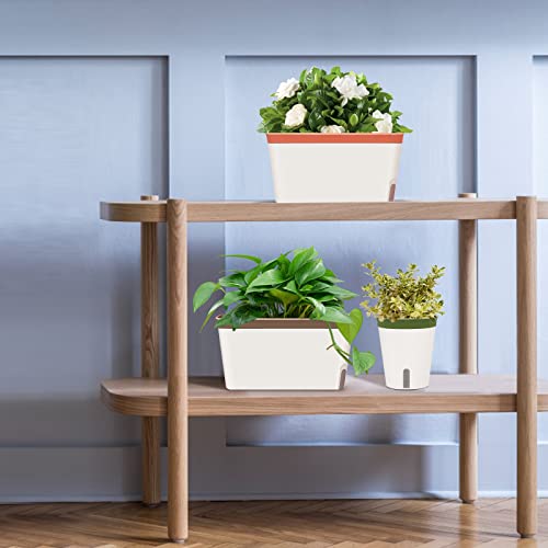 Self Watering Planter Pots Window Box Set of 6 Green Q4635