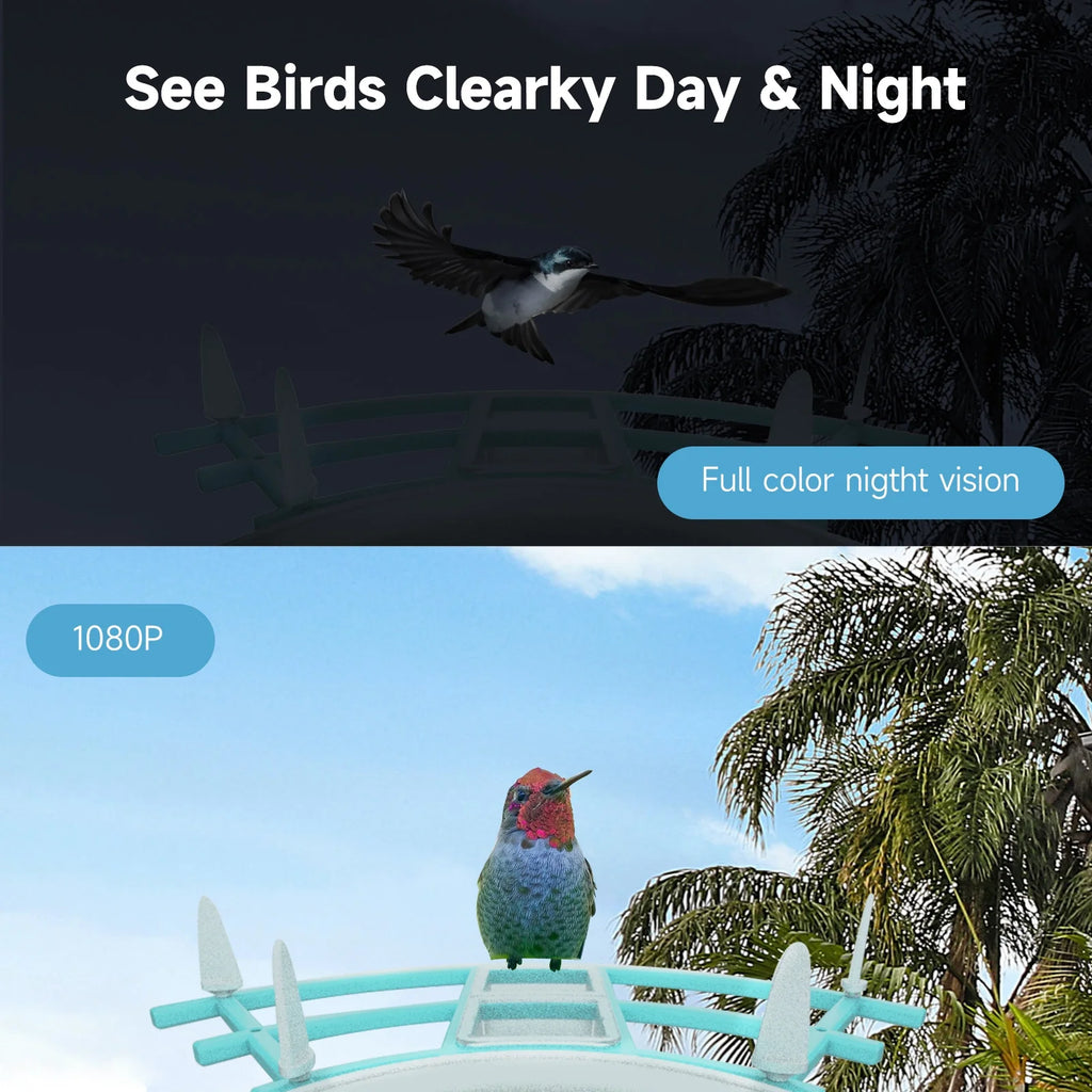 1080P Solar Powered Smart Bird Feeder with Camera B591