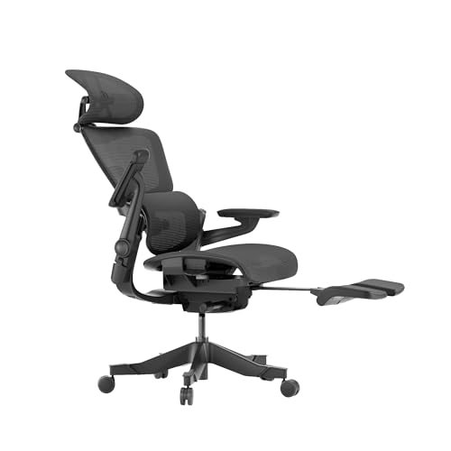 Ergonomic Office Chair with Footrest, Mesh Office Chair with Headrest (Gray, Medium) J952