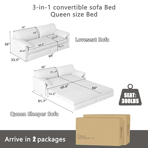 Blue Velvet Queen Size Convertible Sleeper Sofa with 2 Pillows M4207