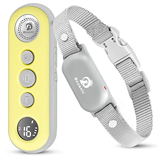1000ft Waterproof Rechargeable Dog Training Collar with Remote M200