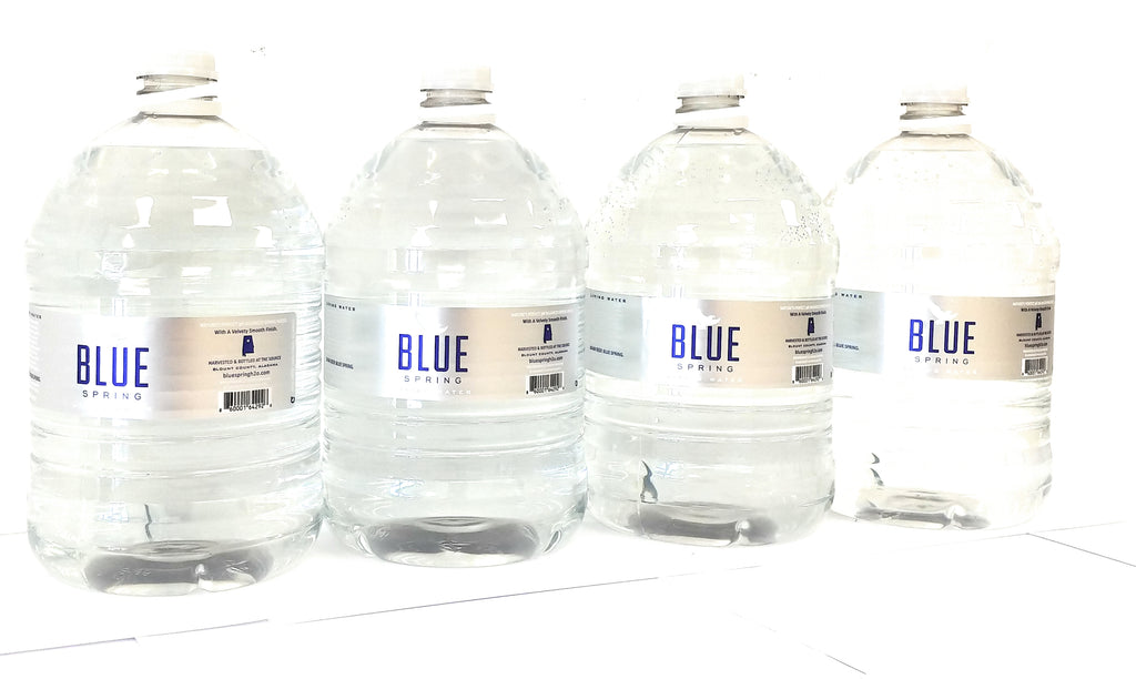 Blue Spring Natural Spring Water, 4 Gallons per Case G439667