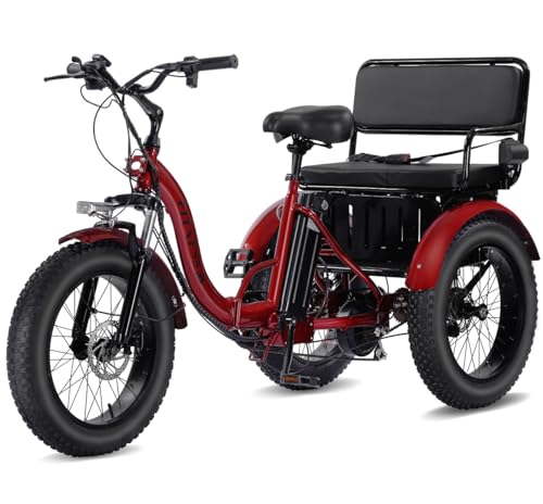 Electric Tricycle 3 Wheel Bike V104329