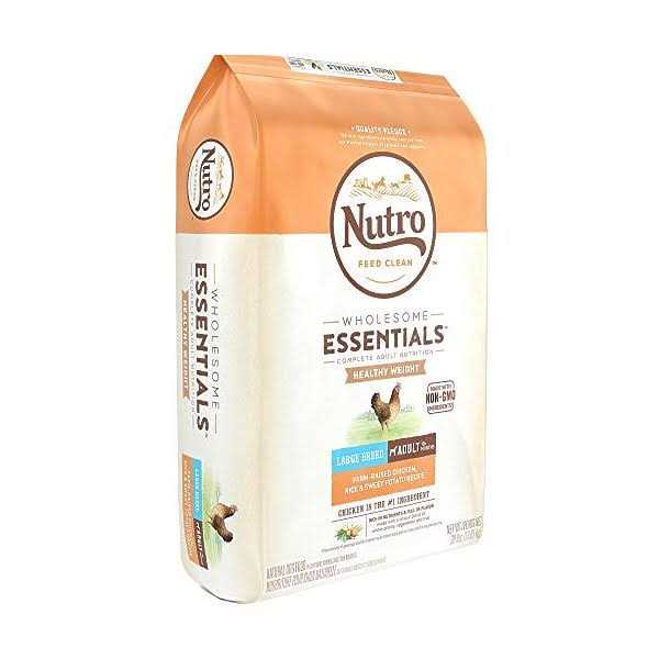 Large Breed Adult Chicken Dry Dog Food V916
