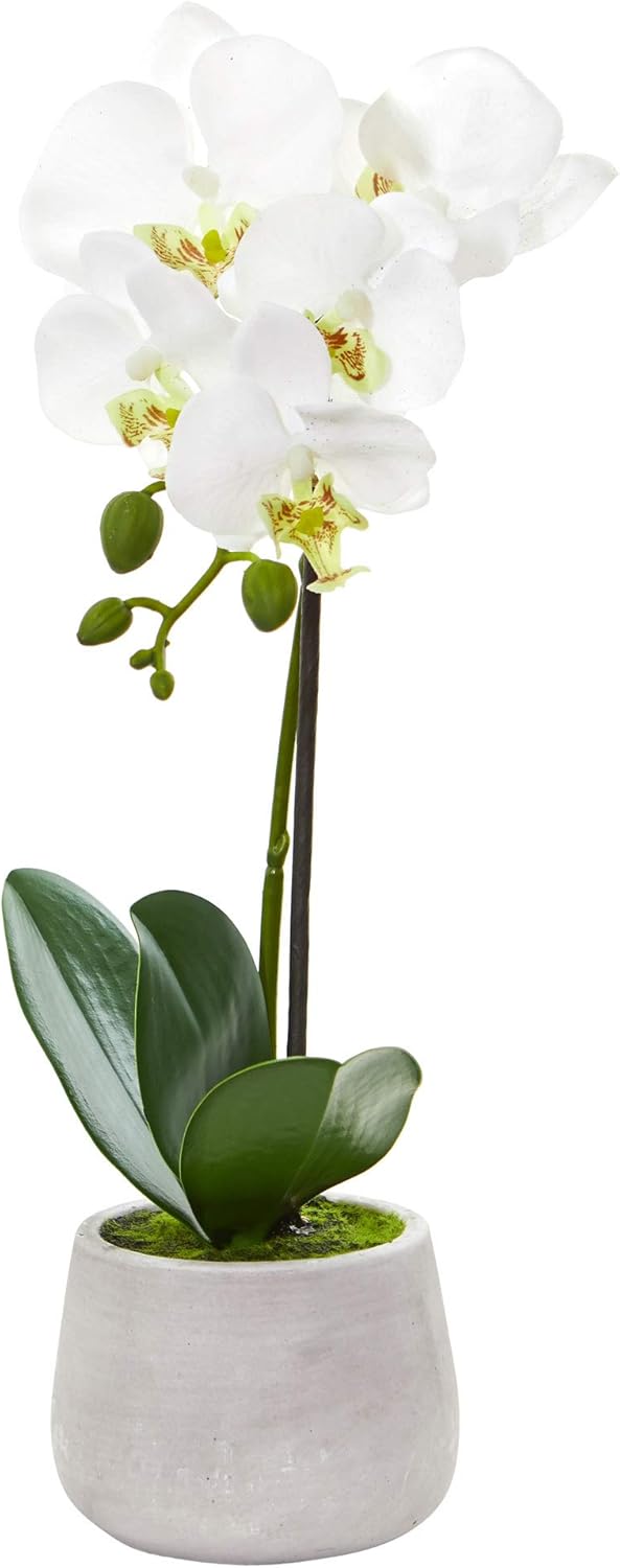 Set of 2 Artificial Phalaenopsis Orchid Arrangement R1277