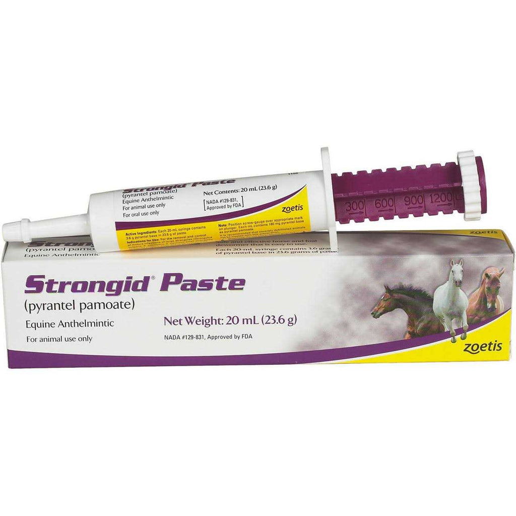 Strongid Paste H280079