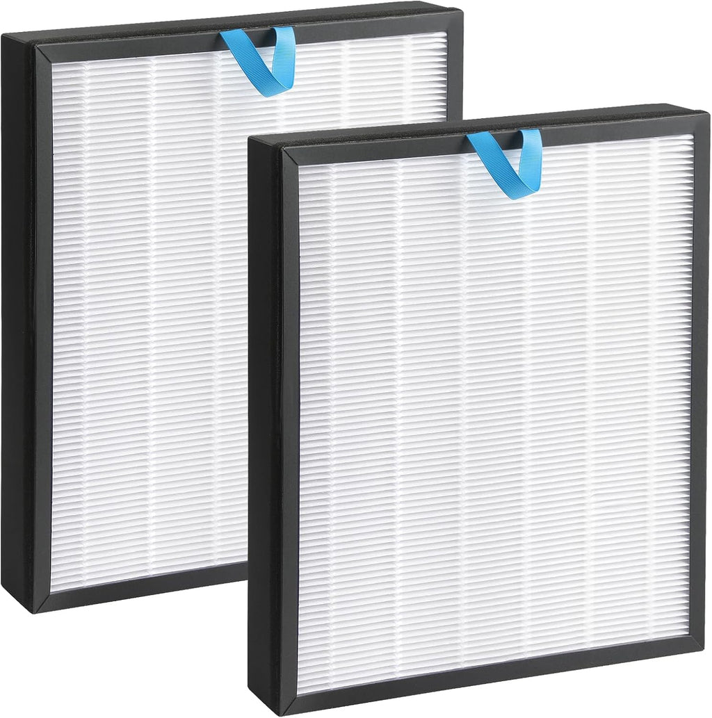 2-Pack White H13 True HEPA Activated Carbon Filter X268