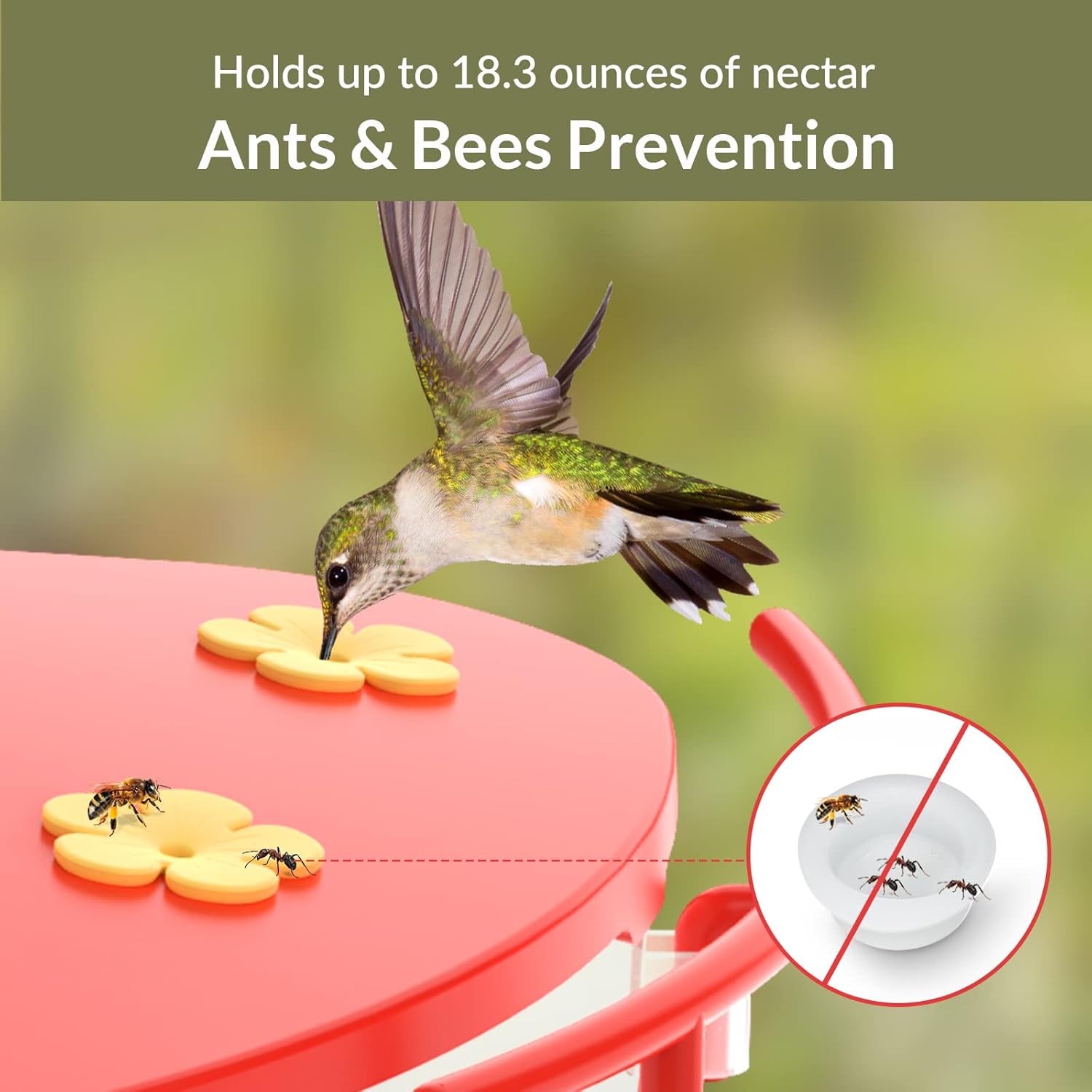 Birdfy Solar Camera with Humming Bird Feeder Extension Perch H286859