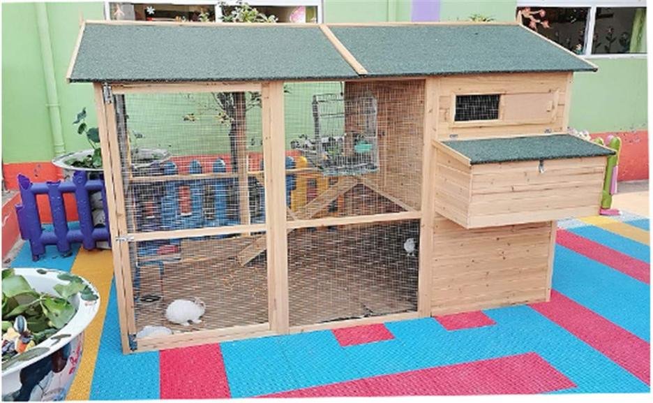 Large cedar wood waterproof roof green chicken coop M367628