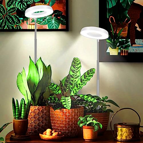 4000K White Full Spectrum Halo Plant Lamp with Auto On Off Timer P29253