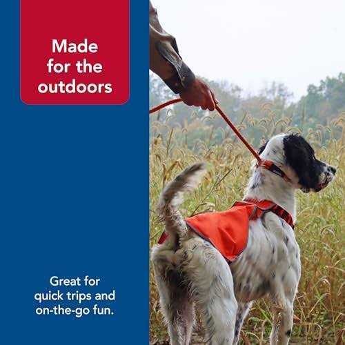 Braided Rope Dog Slip Leash Y33860
