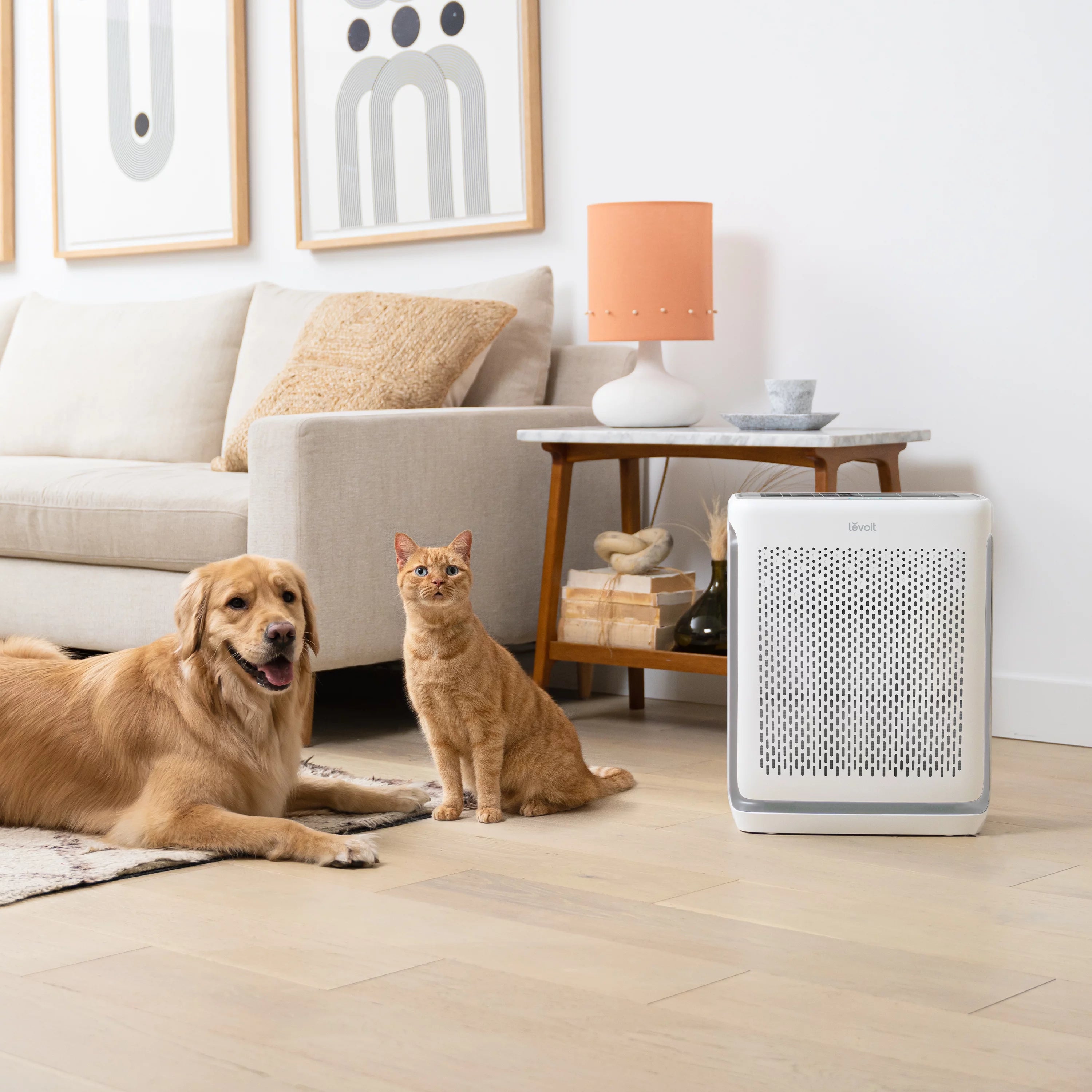 Air Purifier X9247