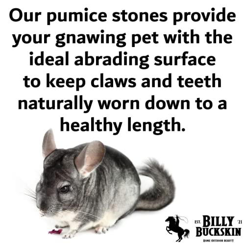 Volcanic Pumice Chinchilla Chew Block M3692