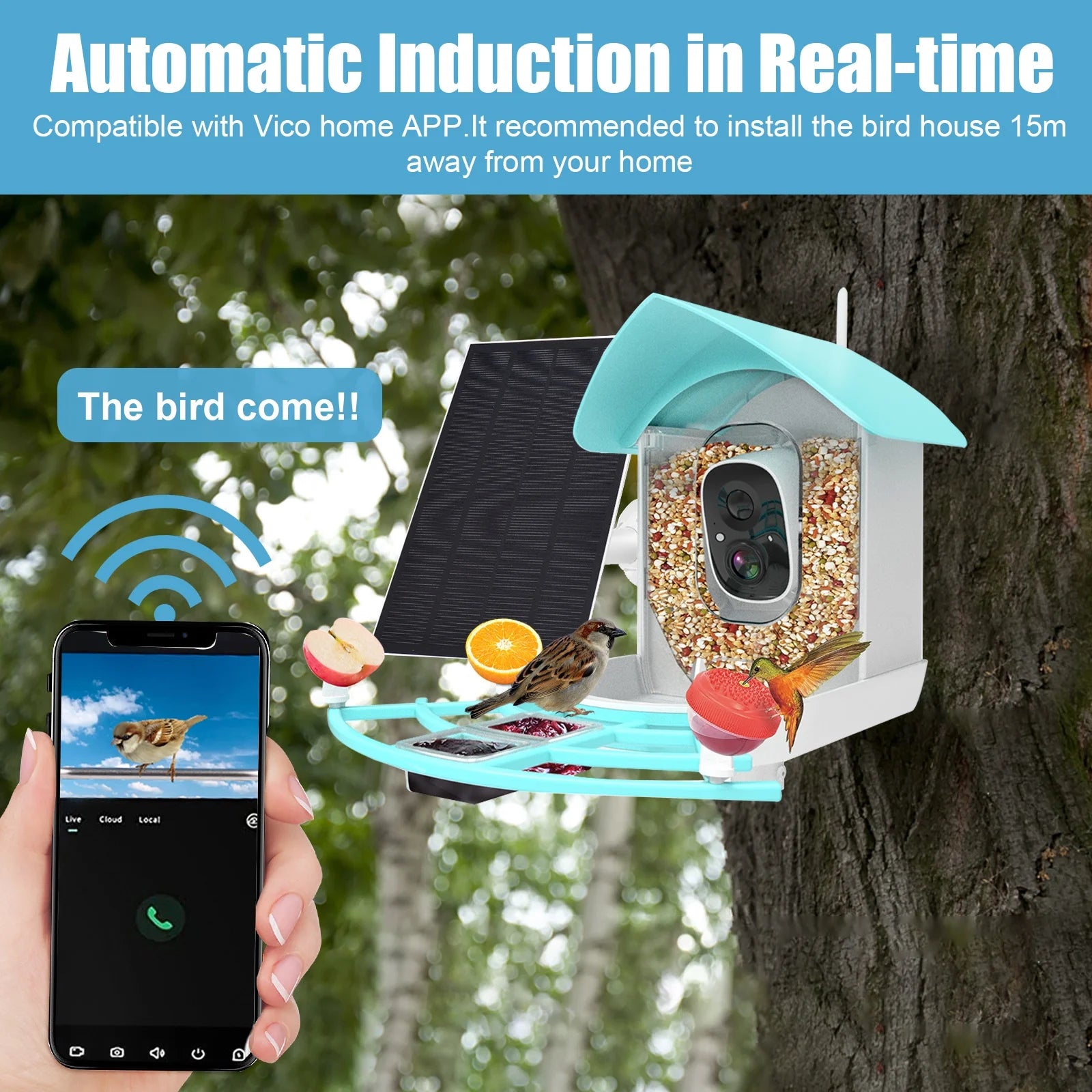 1080P Solar Powered Smart Bird Feeder with Camera B591