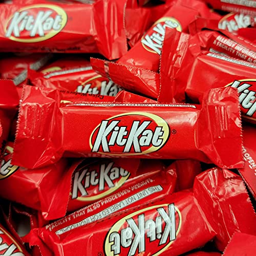 4 Pound Milk Chocolate Candy Bars G461924