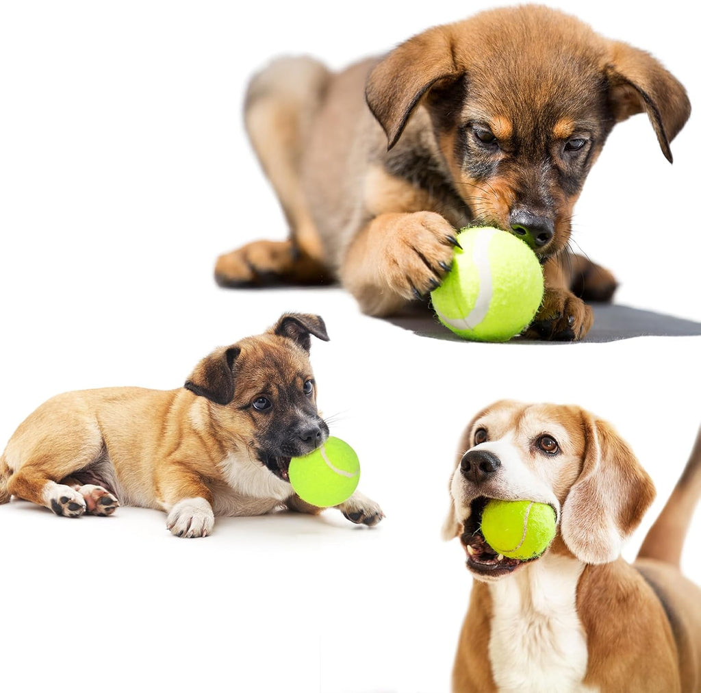 12 Pack 2inch Tennis Balls for Dogs I9727