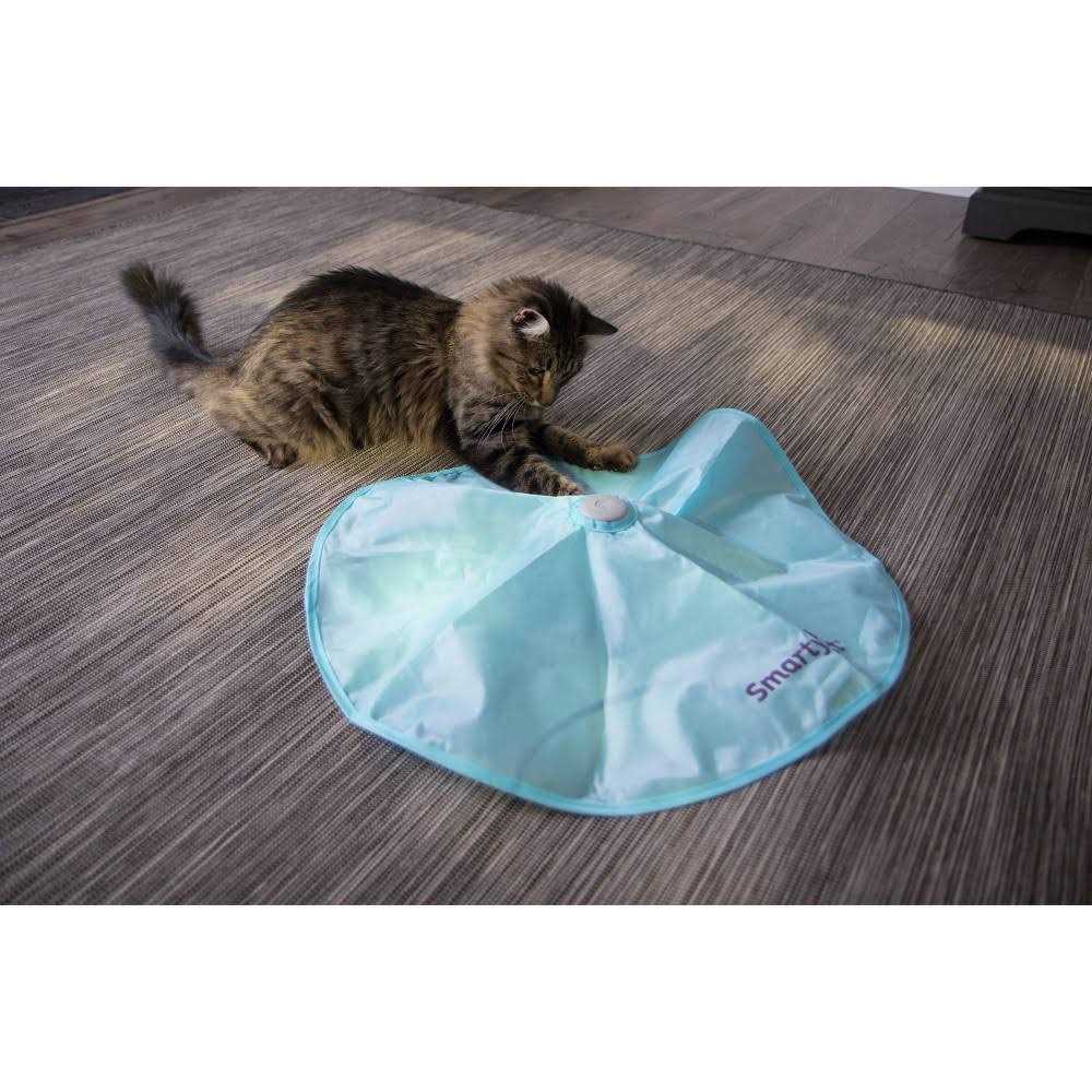 Electronic Motion Cat Toy Z224