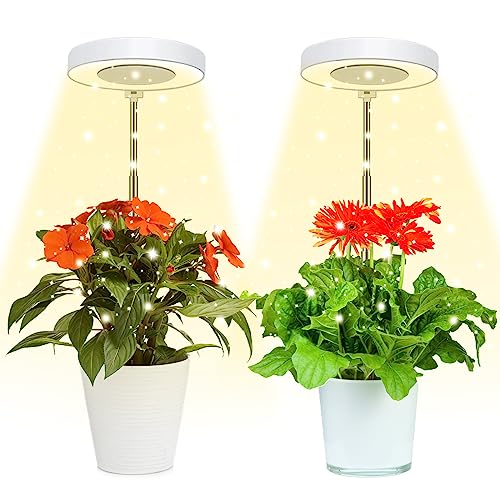 4000K White Full Spectrum Halo Plant Lamp with Auto On Off Timer P29253