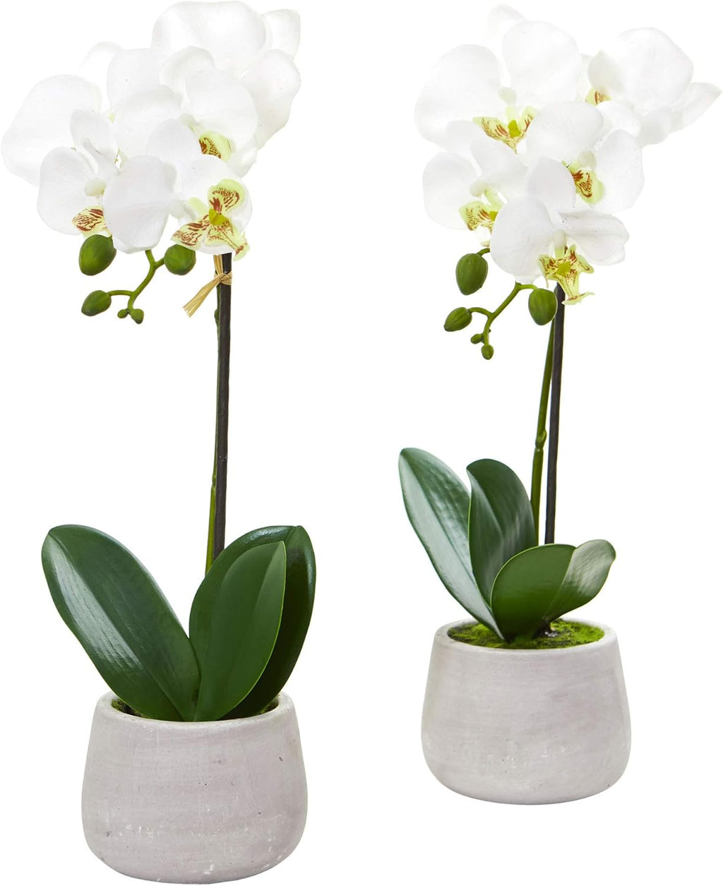 Set of 2 Artificial Phalaenopsis Orchid Arrangement R1277