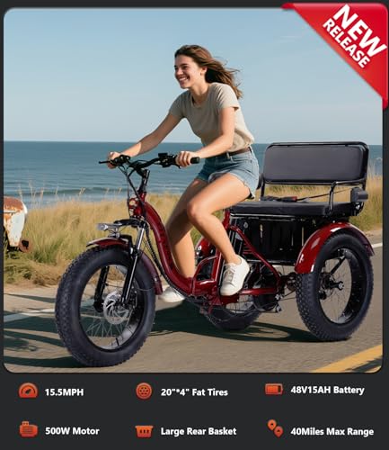 Electric Tricycle 3 Wheel Bike V104329