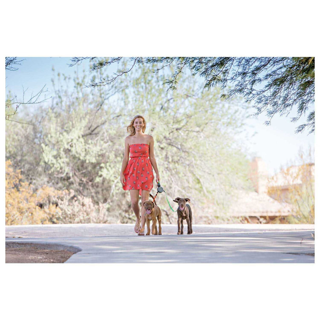 Dual Retractable Leash V3213
