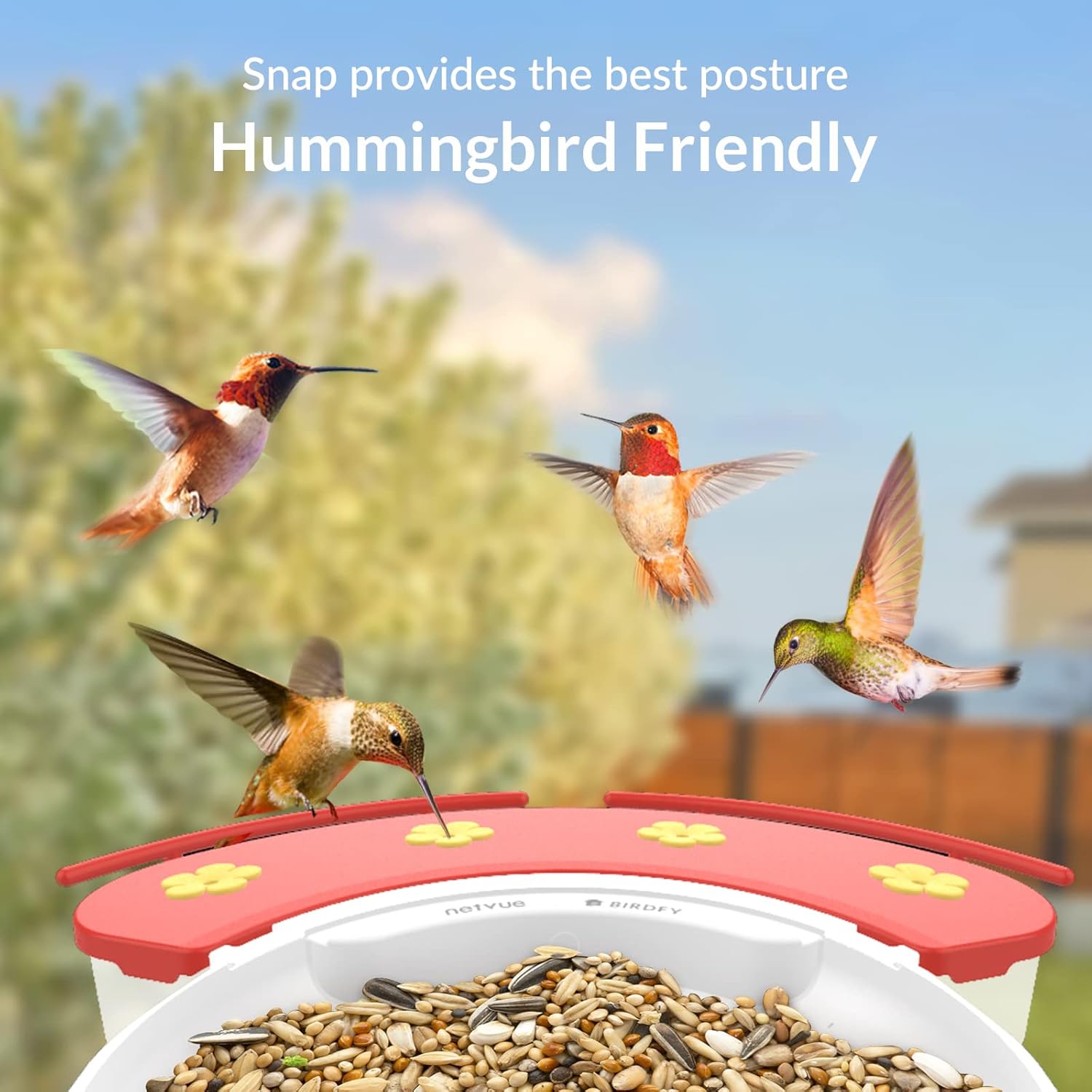 Birdfy Solar Camera with Humming Bird Feeder Extension Perch H286859