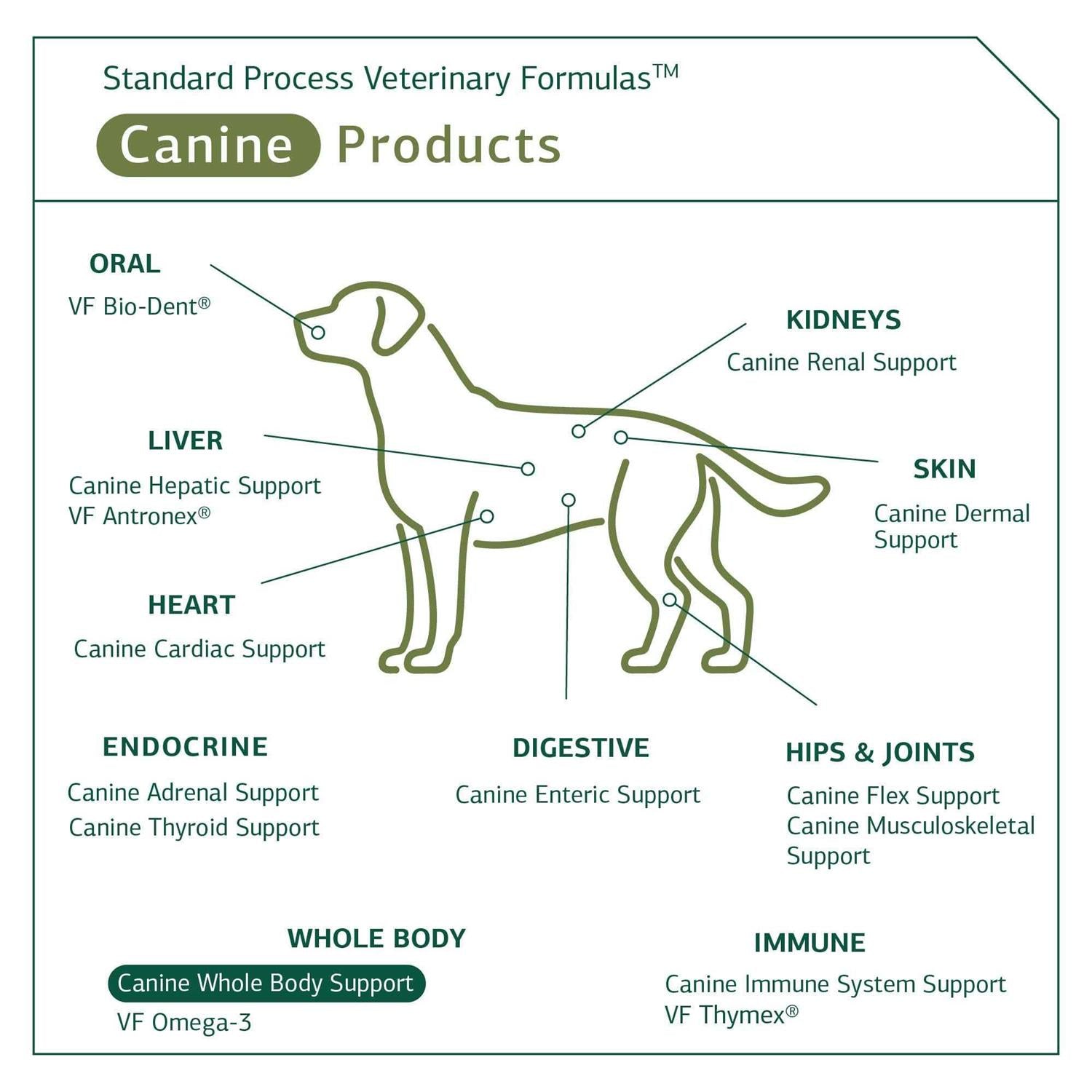 Canine Whole Body Support C159906
