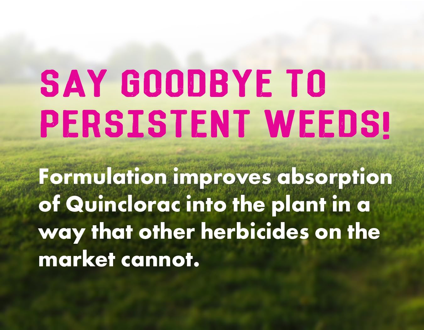 32 ounces Concentrated Crabgrass Herbicide with Quinclorac H65246