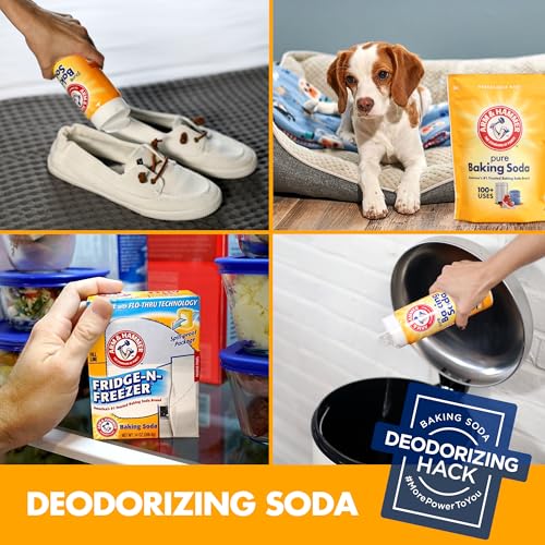1 Pound Pack of 12 Baking Soda C136
