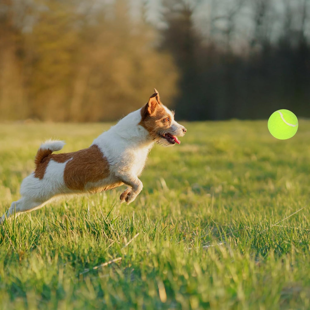 12 Pack 2inch Tennis Balls for Dogs I9727